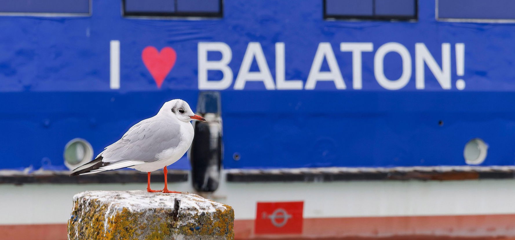 Ingyen is le tudsz jutni Budapestről a Balatonra, ha bevállalsz egy kis kalandot