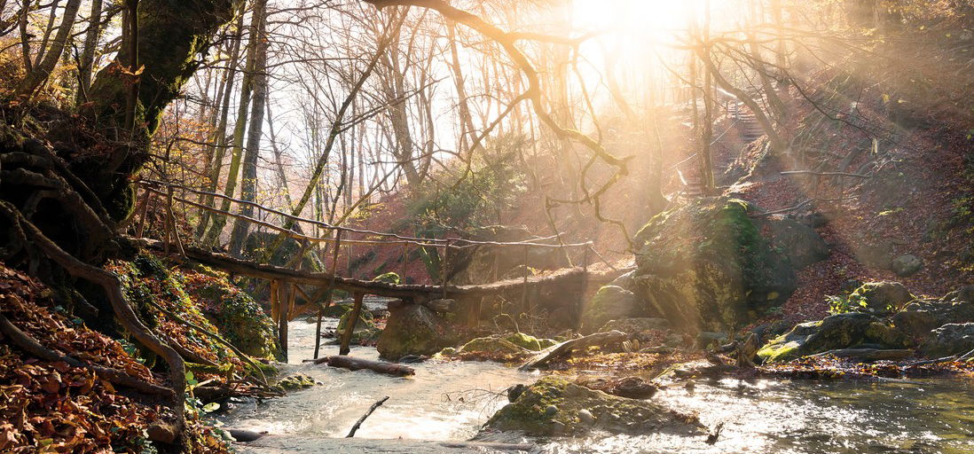 Brutális videó: akkor szakadt le a híd, amikor rajta álltak azok, akik éppen átadták