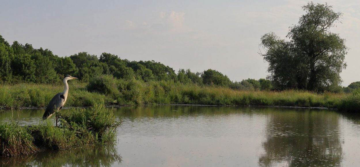 Magyarországon ilyen még nem volt, hihetetlen dolgot láttak a Hortobágyon