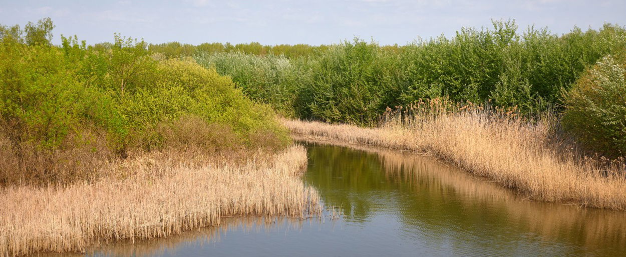 A Tisza mellett döbbenetes kincs lapulhat? A fél világ arra várhat, hogy egyszer kiderüljön