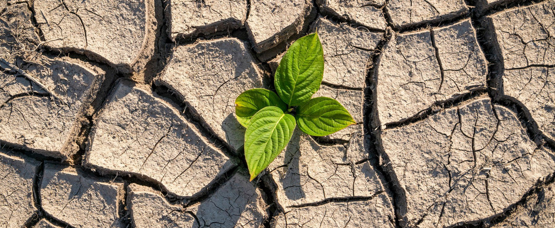 Kiszáradással riogatnak az időjósok, az egész Kárpát-medence időjárását ez határozza meg