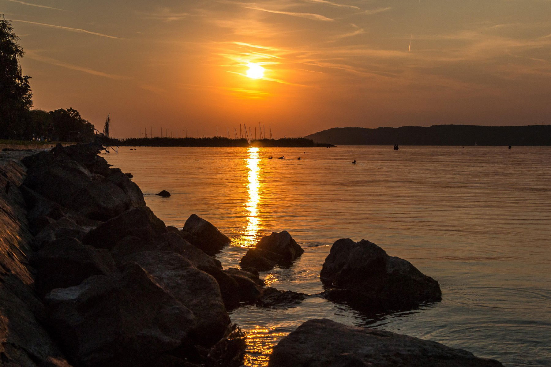 Vérlázító természetpusztítás a Balatonnál: a helyiek azonnali revansot követelnek