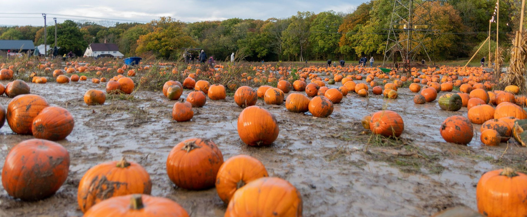 Különös hidegfront éri el az országot Halloween napján, érdemes felkészülni arra, amit magával hoz - részletes időjárás-előrejelzés