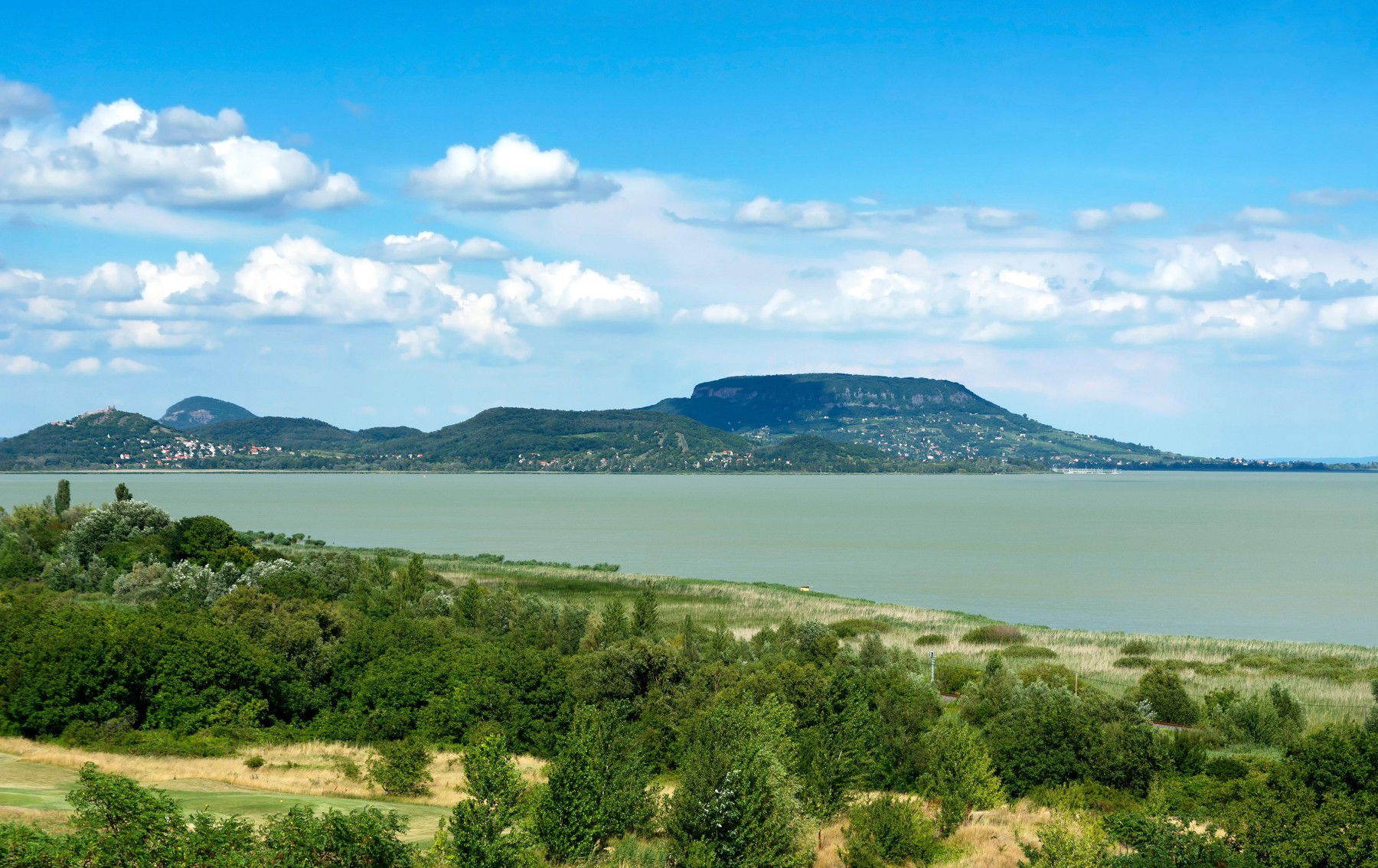 Kegyetlen ragadozó csontvázát találták meg a Balatonnál római kori temetkezés feltárása közben, hazánkra figyel a nemzetközi régészközösség