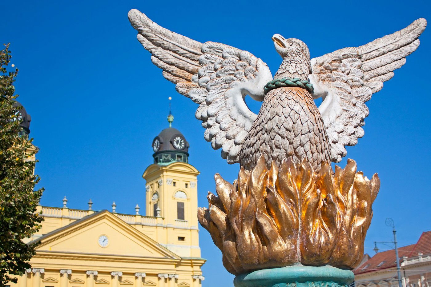 Debrecenről beszél a fél világ, páratlan ritkaság tűnt fel váratlanul a városban