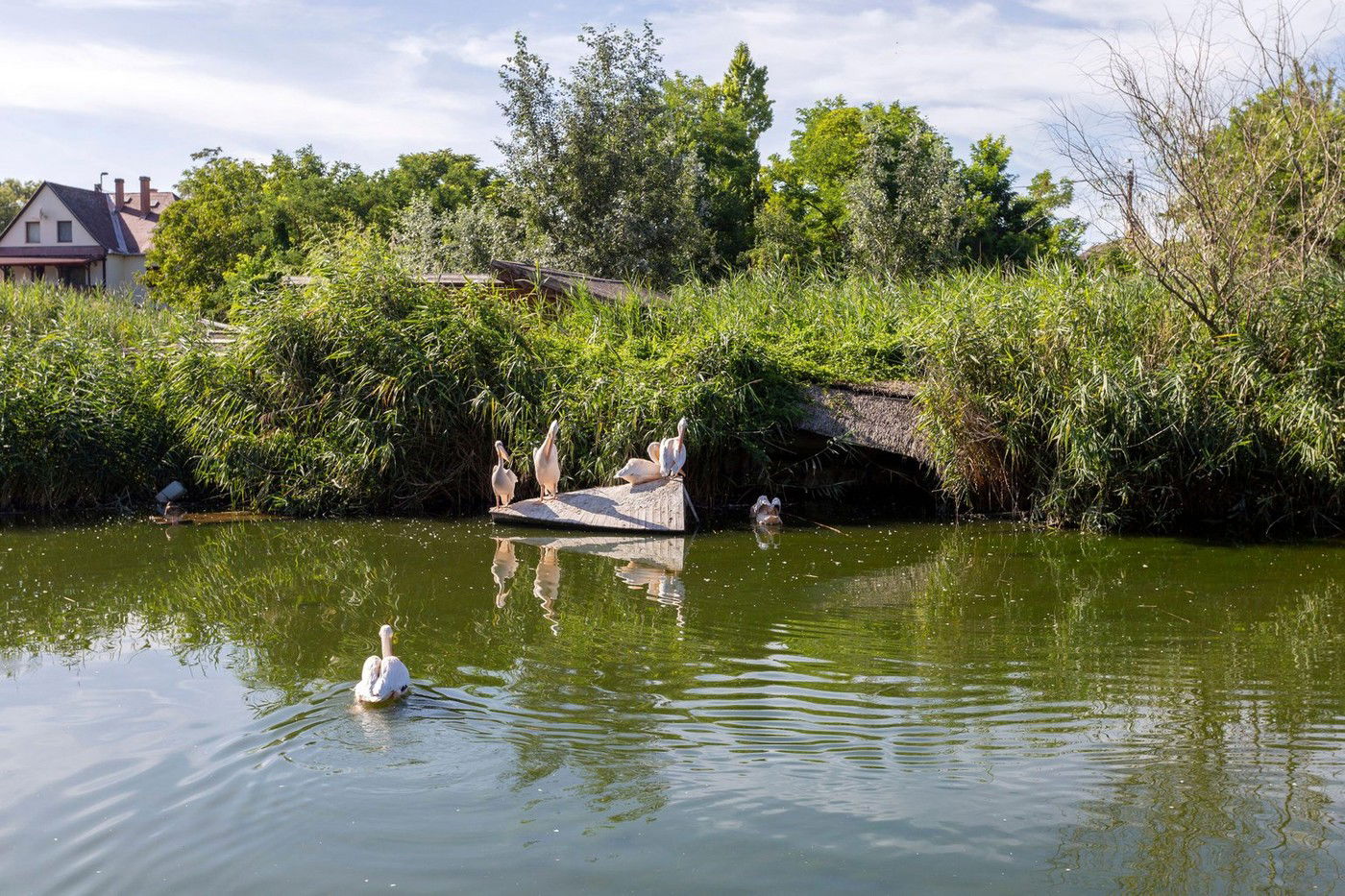 Ritka, misztikus kincset rejtett a Tisza-tó környéke, 700 éve szunnyadtak a mélyben a középkori ritkaságok