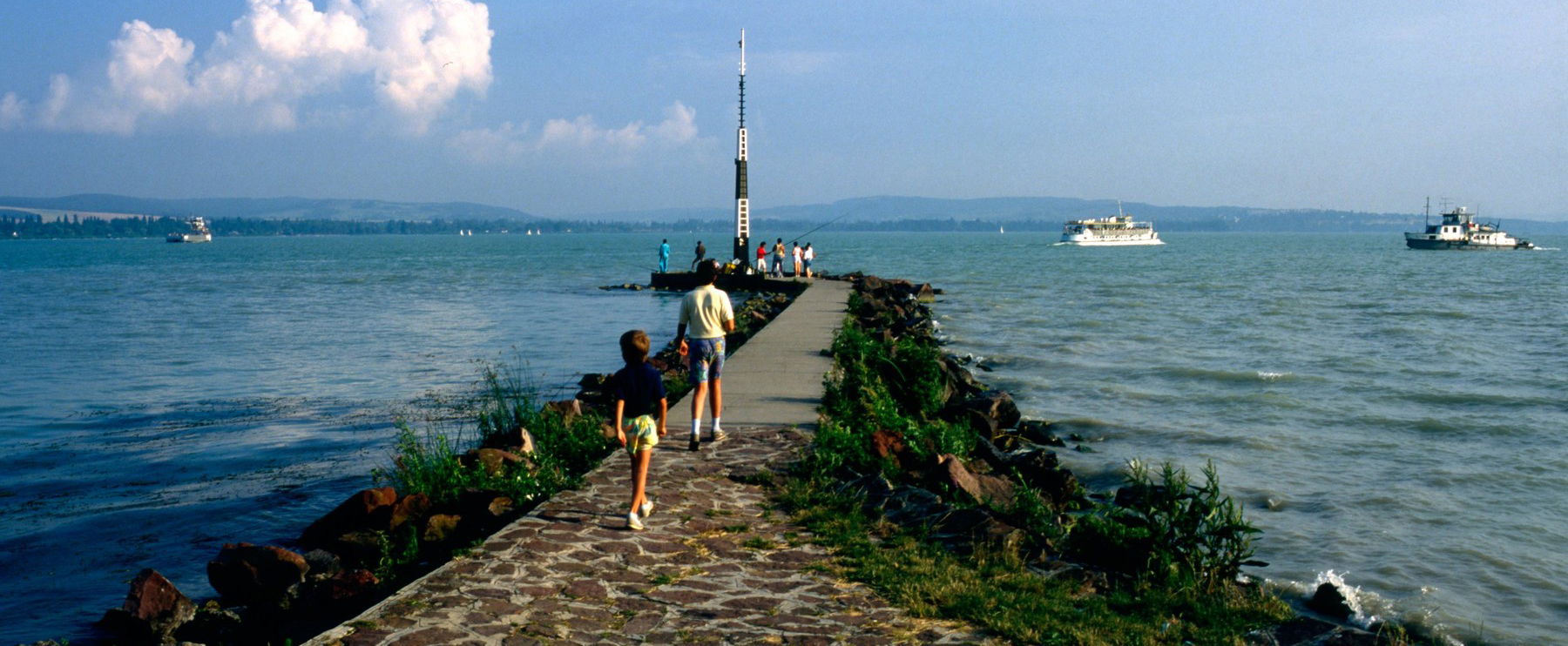 Oroszországban és Kínában honos az az állat amit megláttak a Balatonban, már a helyieket kérték fel rá, hogy segítsenek kipusztítani