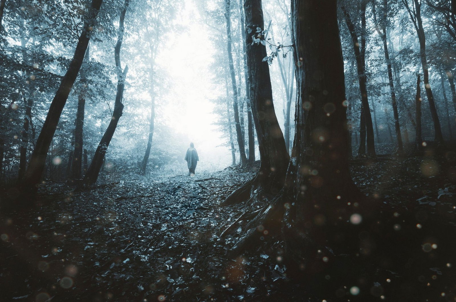 Los hobbits existen y han encontrado pruebas de ello de una forma sorprendente