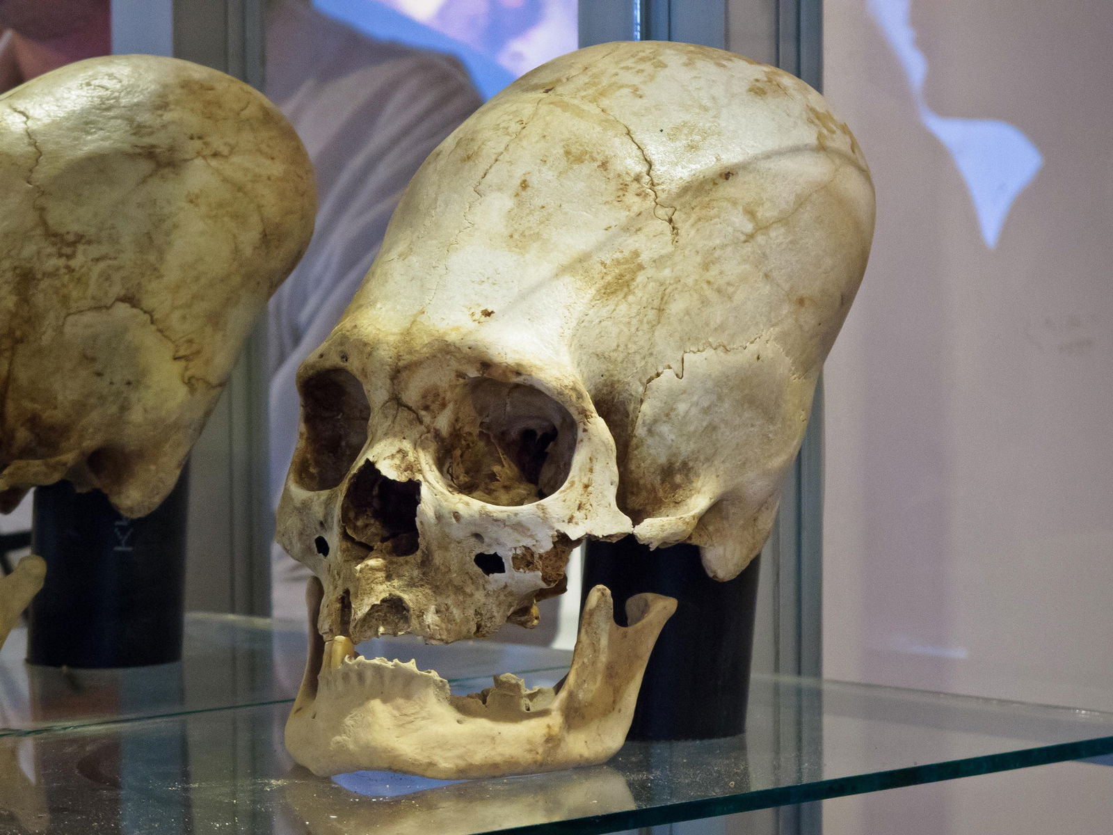 La momia extraterrestre de Tutankamón fue descubierta hace 100 años. ¿Ya no se cuestiona el misterioso origen de Tutankamón?