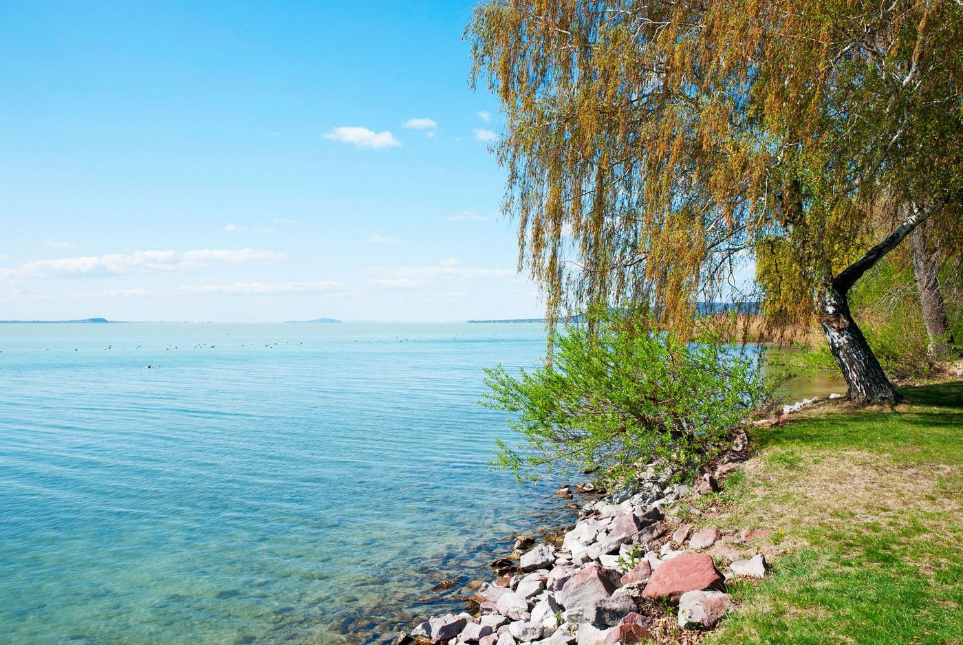 Folytatódott Imane Helif botránya, a Balatonnál is szörnyű dolgok történtek