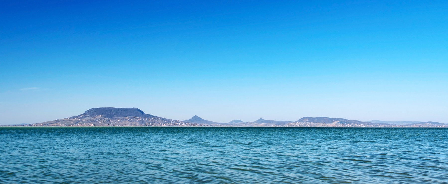 Borzalmasan kártékony állat jelent meg a Balatonban, azonnal lépni kell, felhívást tettek közzé