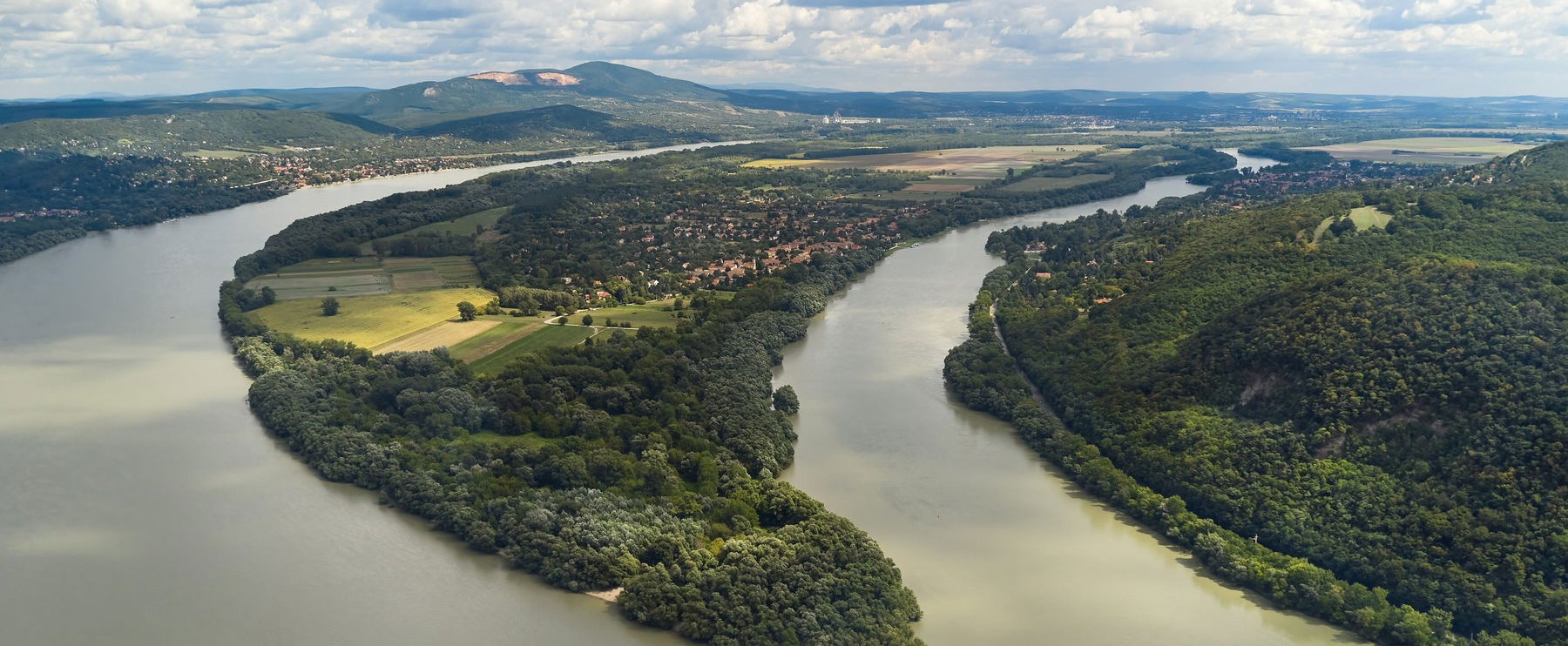 Hihetetlen élőlényt láttak a megáradt Dunában