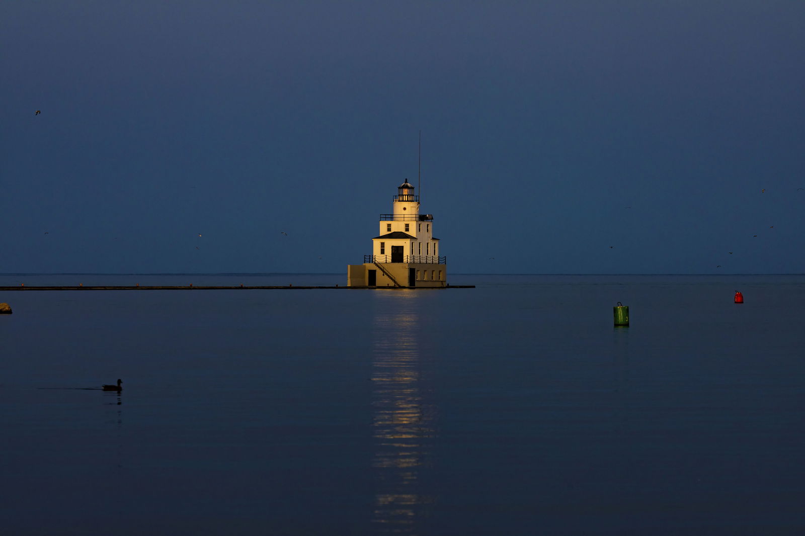 40 regular circles were discovered beneath the surface of the lake, and they immediately began investigating