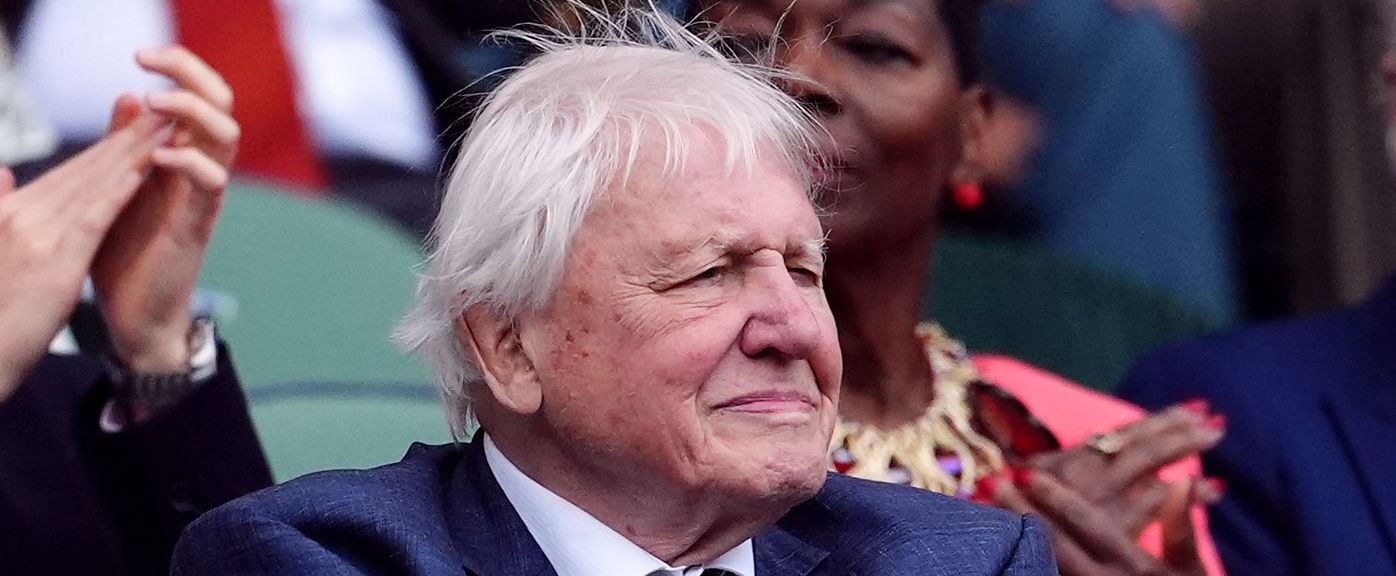 A 99 éves legenda, David Attenborough egyetlen dologról mondott le, hogy elérje a 100-at