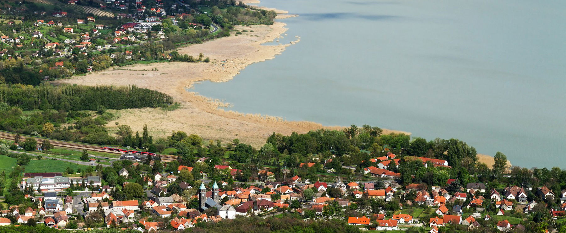 Váratlanul állatok tömkelege jelent meg a Balatonban, óriási gerinces vadak