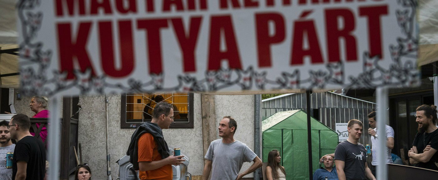 Igazak a pletykák a Kétfarkú Kutya Párt elnökéről, nagyon elszólta magát Kovács Gergely