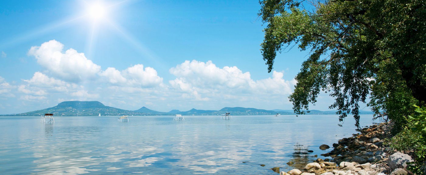 Különleges állat a Balaton új sztárja, rengetegen akarják látni őket