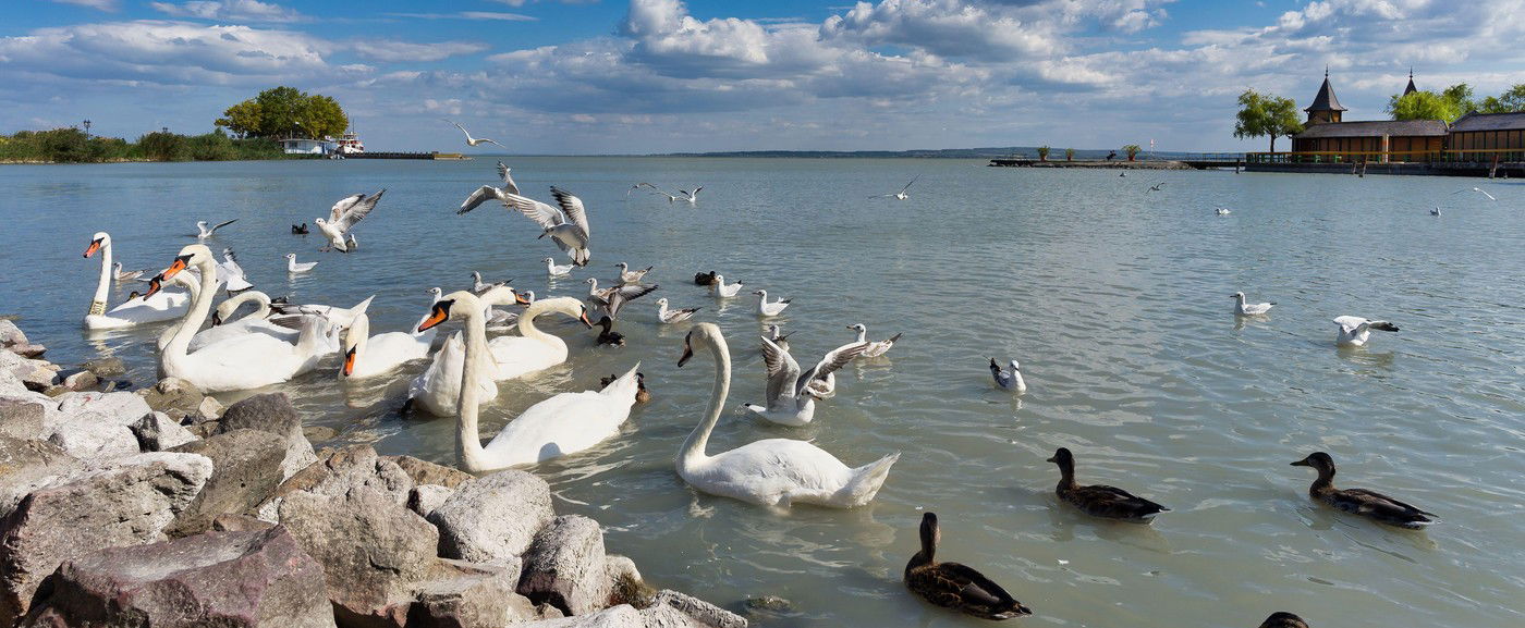 Rendkívüli, amit Szlovákiában a Balatonról írtak, leleplezték hazánk tengerét