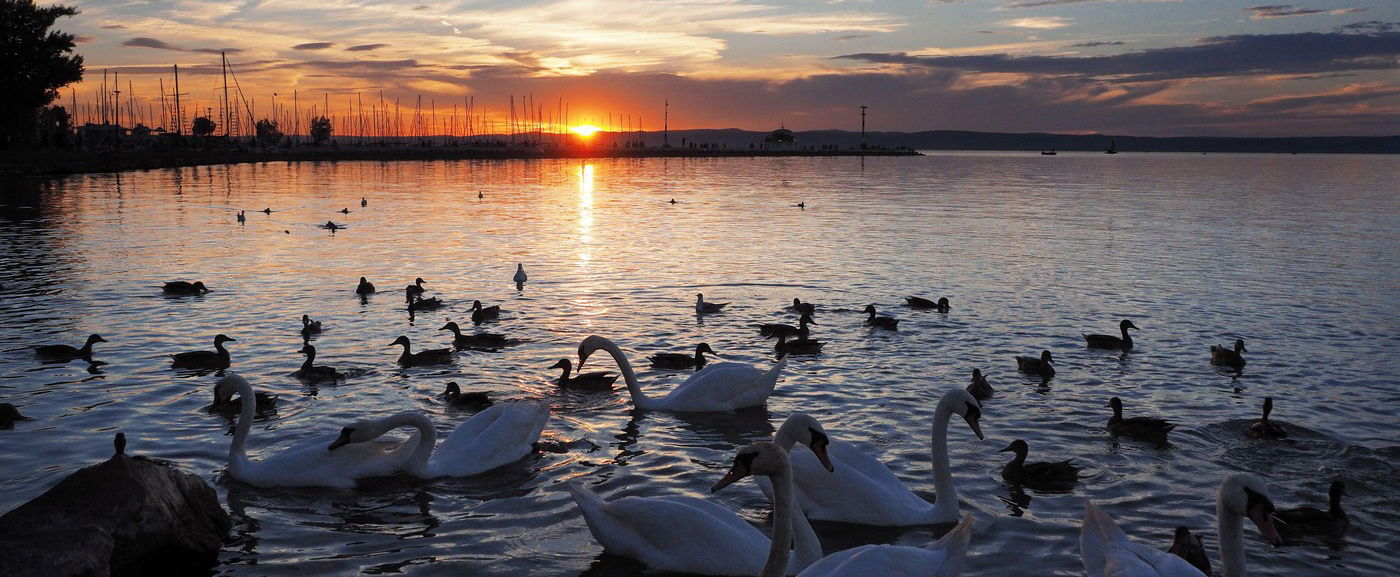Kvíz: a Balaton északi vagy déli partján van-e ez a 10 település? Már az 1. kérdés megizzaszt