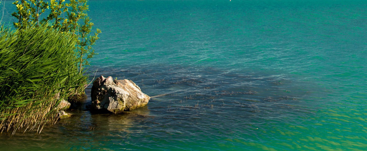 Rossz hírek jöttek a Balatonról, ettől átkozódni fogsz