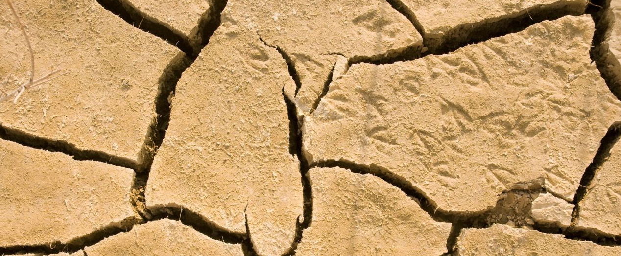 Brutális építkezés kezdődött Magyarország közepén, ez a válasz a példátlan aszályra