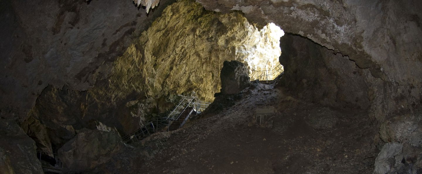 4 apró sárkányszerű lény jelent meg a barlangban a tudósok előtt, évszázadok óta nem látta őket senki