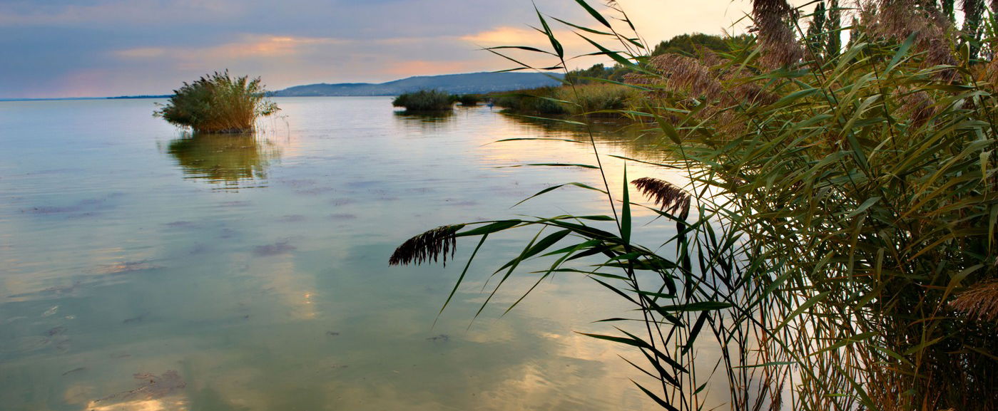 Belebuktak a Balaton legnagyobb fejlesztésébe, milliók bánhatják