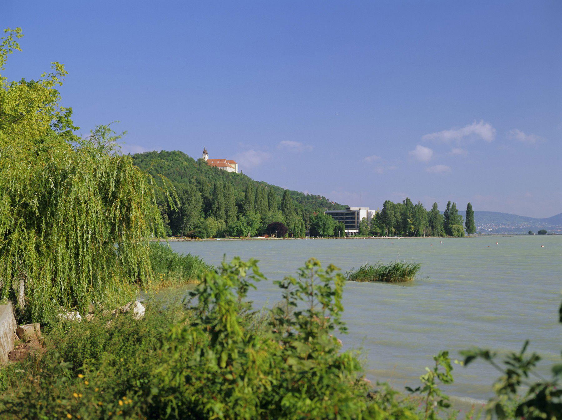 Furcsa lény esett csapdába a Balatonnál, senki nem mert a közelébe menni