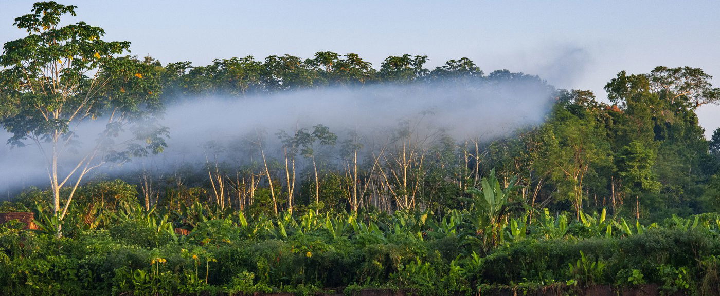 Elképesztő felfedezést tettek az Amazonas mélyén, évszázadokig hazudtak nekünk