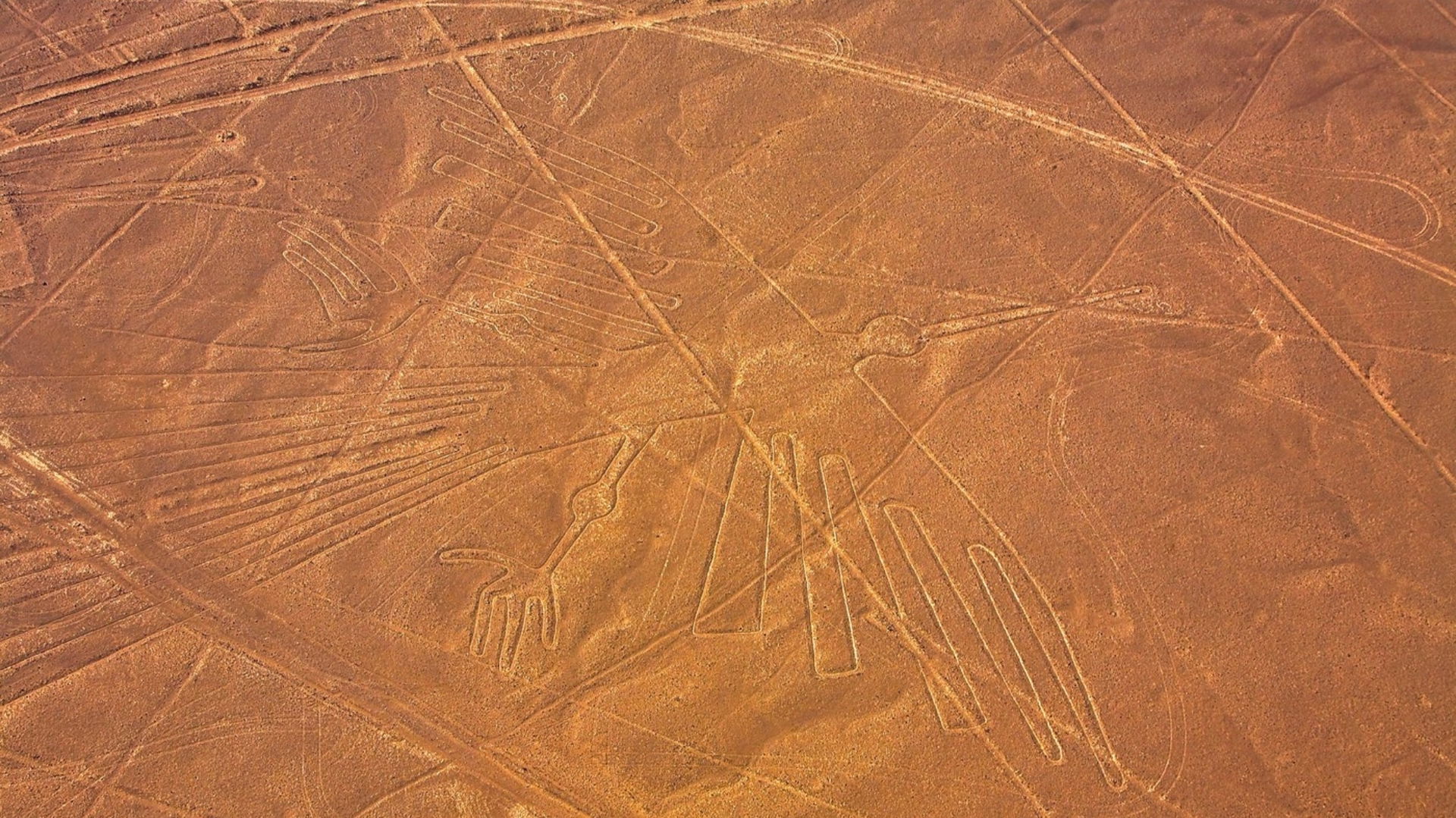 Világszenzáció, megfejtették a Nazca-vonalak titkát, kikerült a netre, szörnyű baj érte a vizsgálat során a tudóst