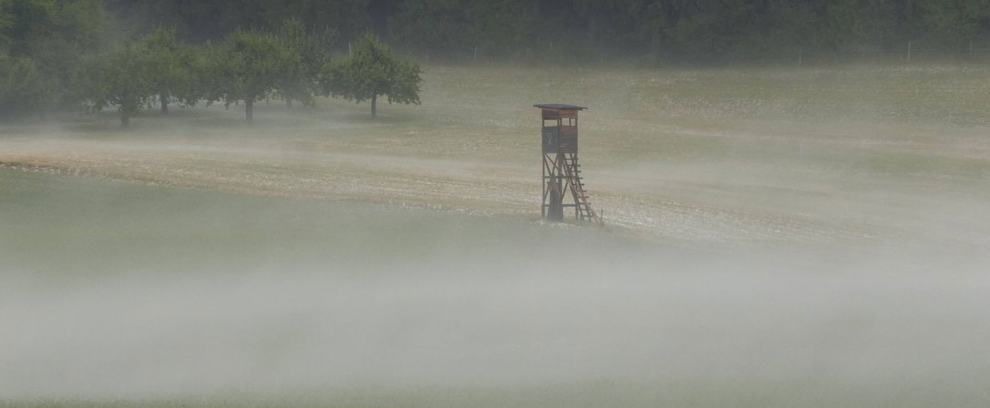Ebben az egy vármegyében már holnap kemény fagy fog lecsapni, megírták, hogy lesz-e eső - Időjárás-előrejelzés