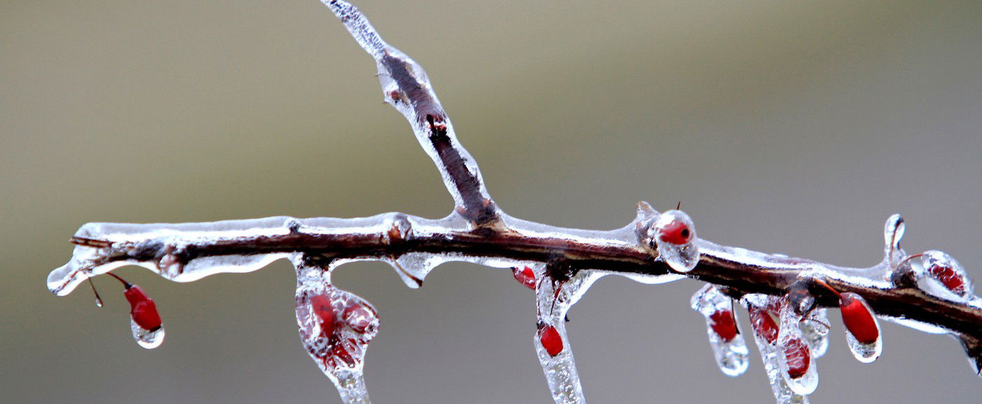 8 vármegyére csap le eső kedd hajnalra, a többiek addig inkább megfagynak - Időjárás-előrejelzés
