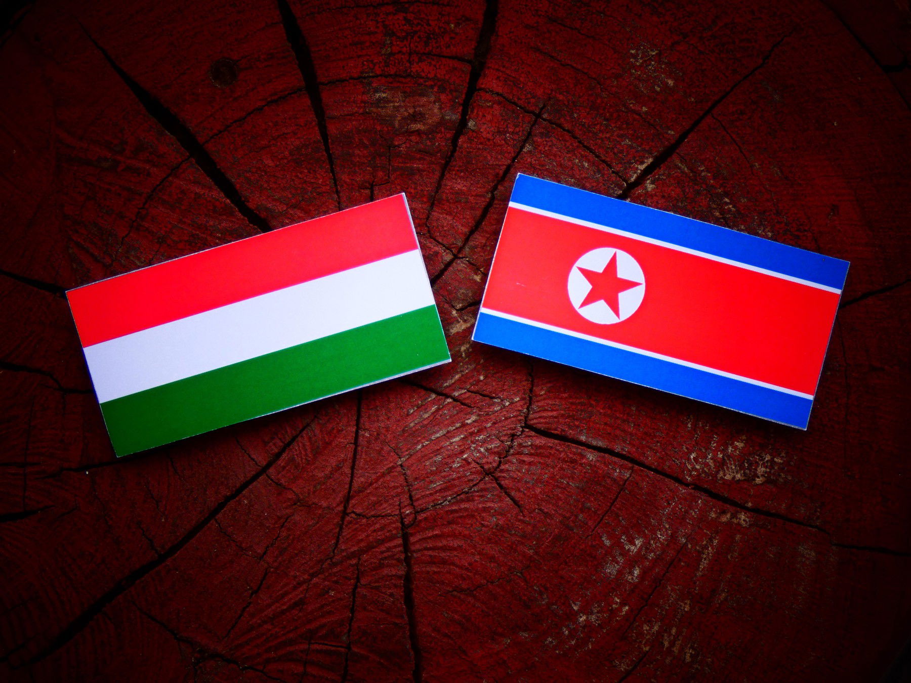 Brutális vicc jelent meg Magyarországról és Észak-Koreáról a nemzetközi sajtóban, sorra veszik át az oldalak