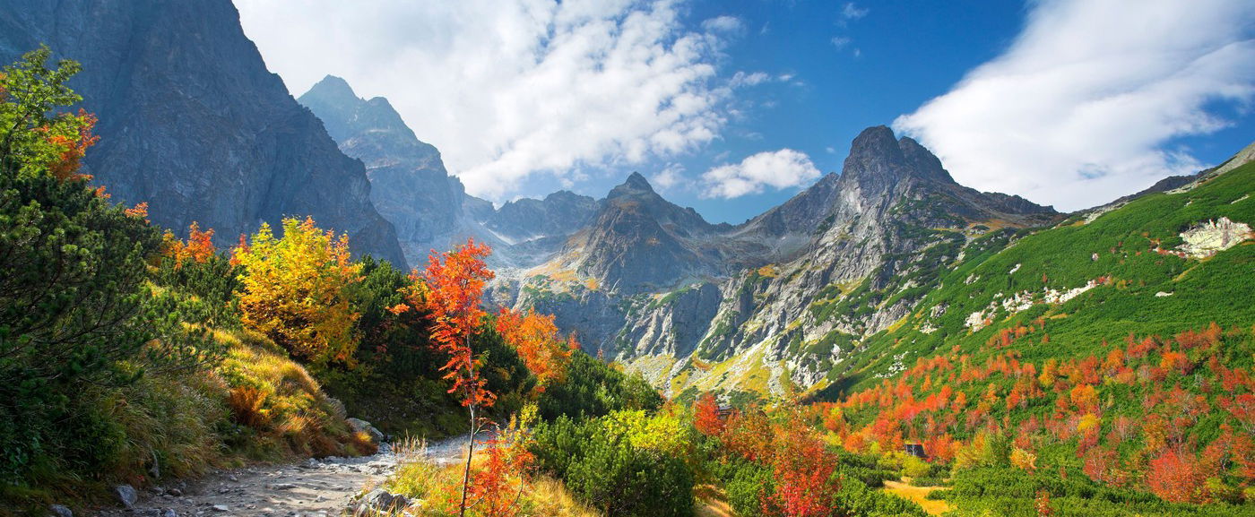 Döbbenet, milyen élőlény jelent meg Szlovákiában, vérfagyasztó látványt rögzített a kamera