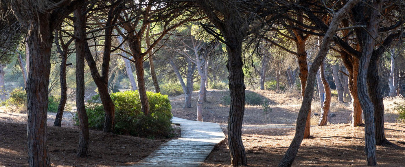 Új erőmű épül az ország közepén, önkívület állapotban az egyik vármegye lakói