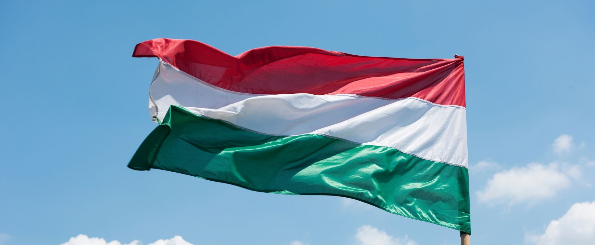 Irdatlan magyar káromkodás szelte ketté Amerikát, a szó megfejtéséhez professzorok kellenek