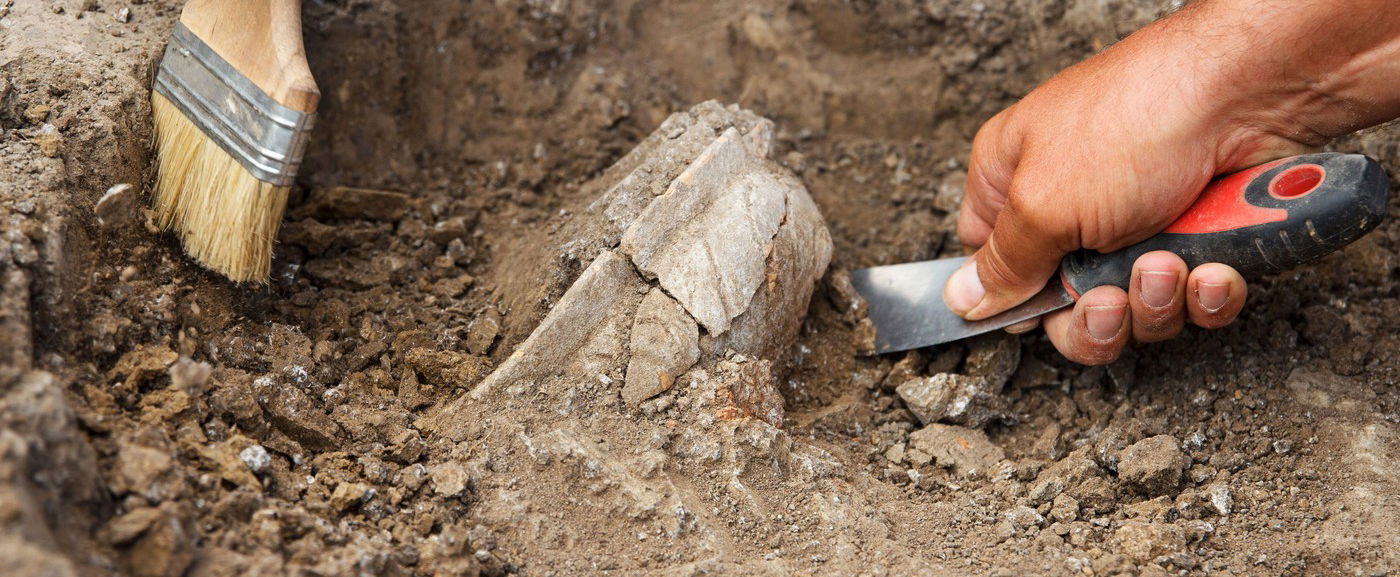 DNS-mintát adtak egy magyar falu lakói, valami felfoghatatlan eredmény született