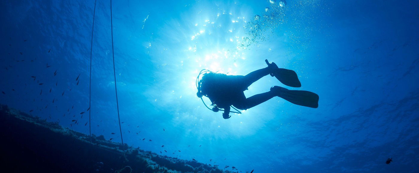 Idegen lények jöttek szembe a búvárokkal a Mariana-ároknál, ez az első találkozás a fura teremtményekkel