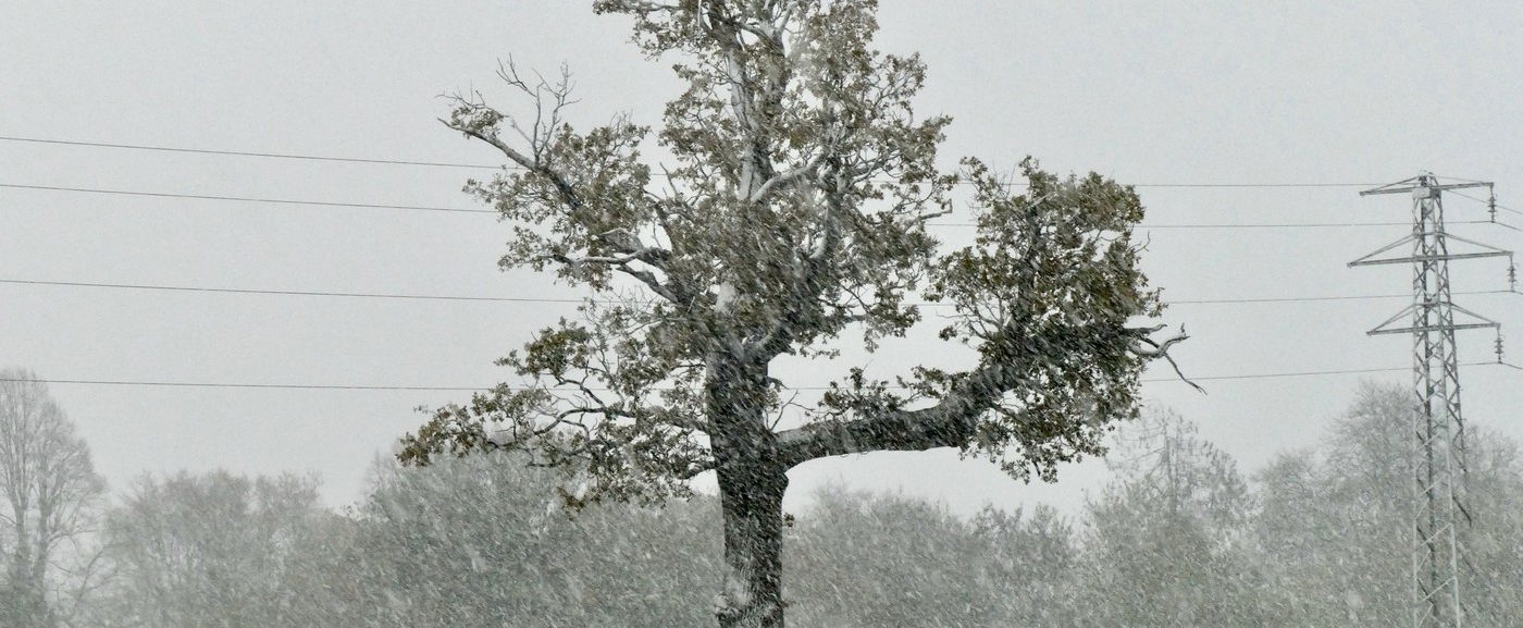 4 vármegye máris rommá ázott, 15 centi hó jön és kétszer fog kifehéredni a térkép a hétvégén, teljes meglepetés
