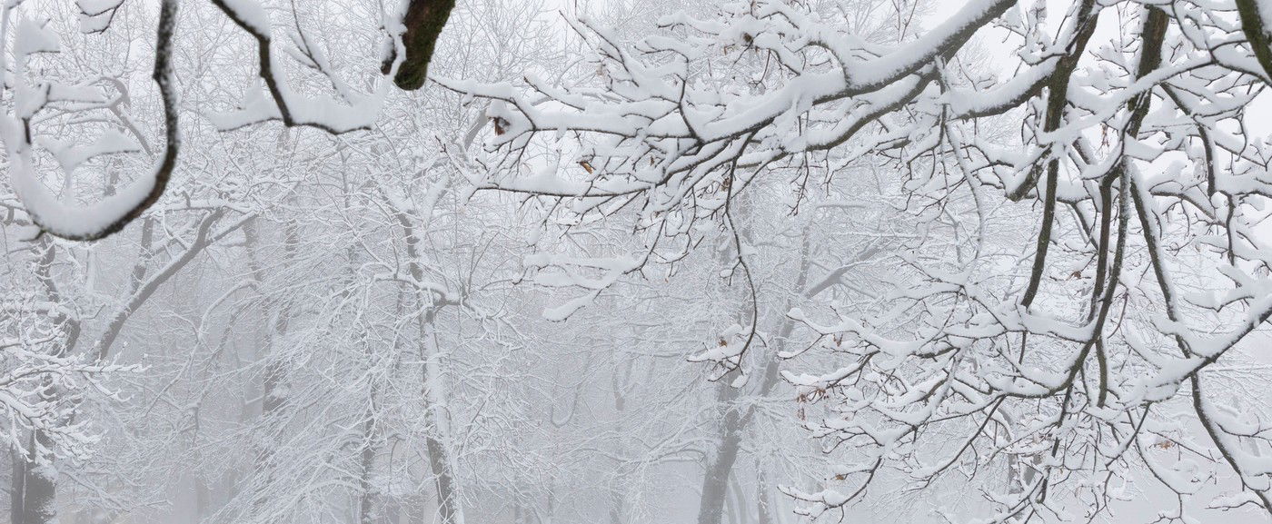 Vége a havazásnak, máris újabb ciklon csap le az országra, ezt bizony meg fogjuk érezni – Időjárás-előrejelzés