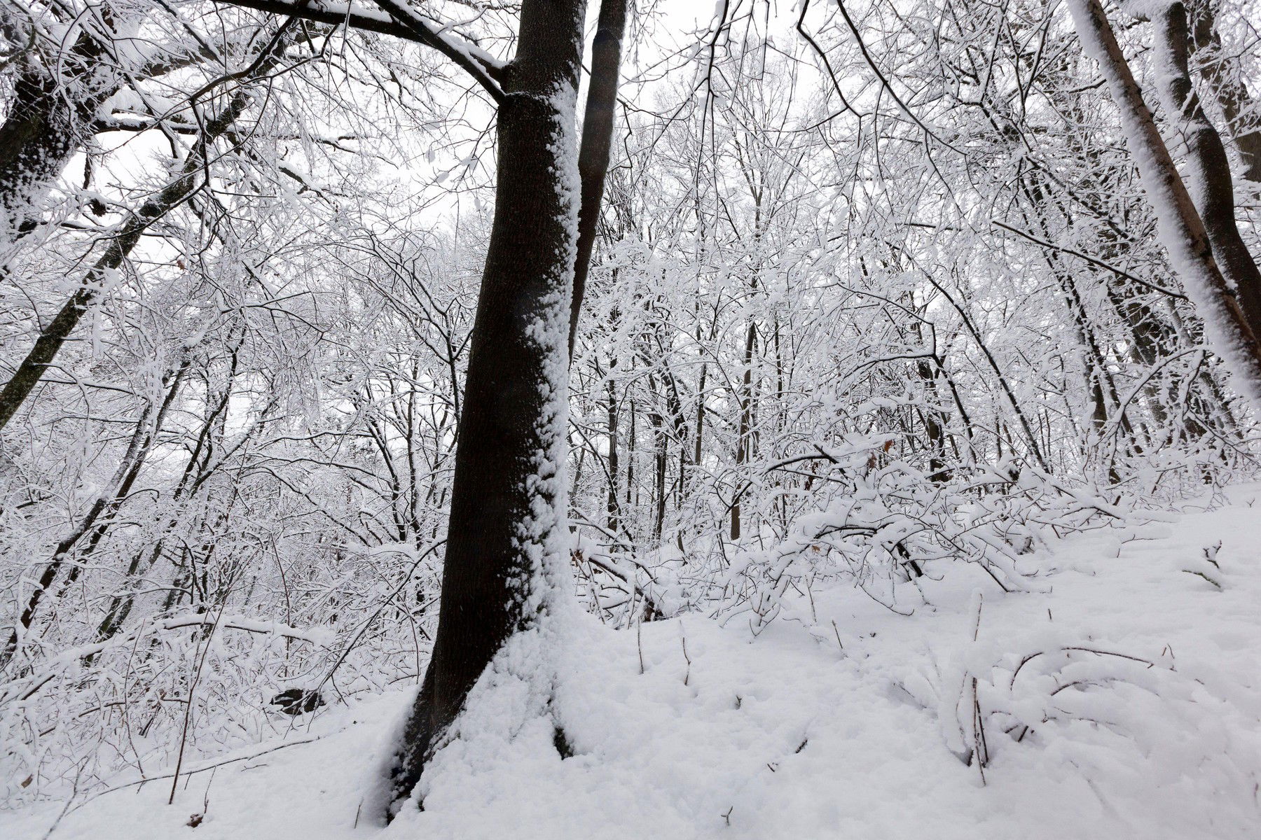 Öklömnyi hóréteg borítja Magyarország egy részét, kőkemény tél vár az országra