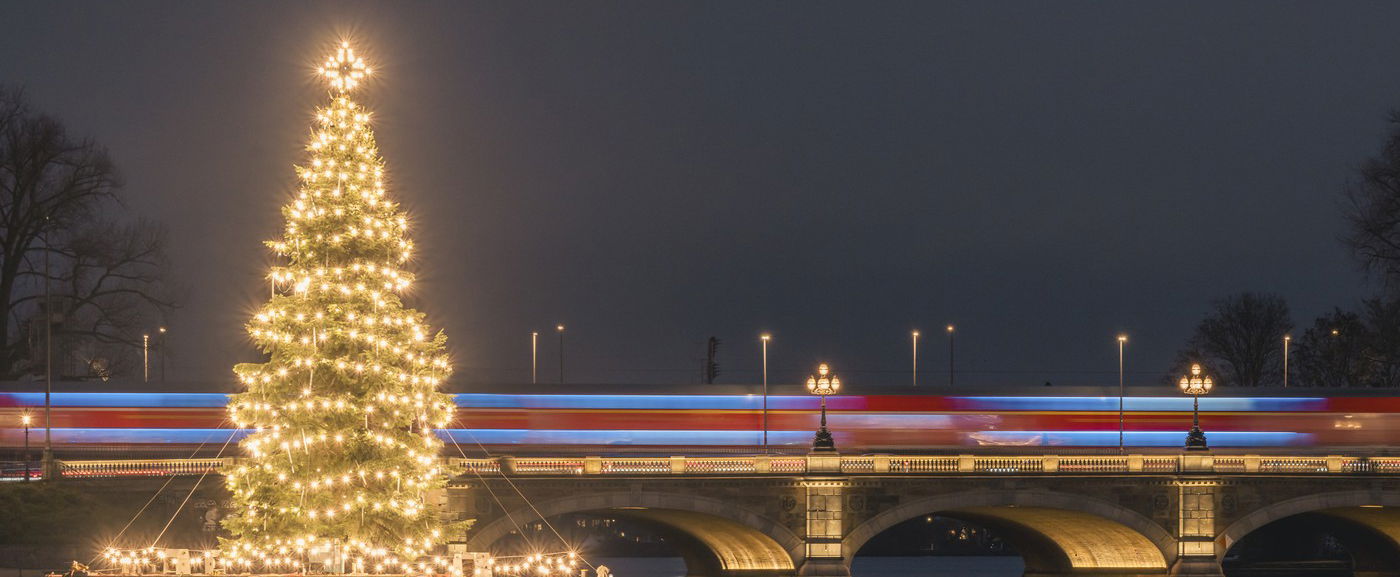 Ez a legjobb időpont a karácsonyfa megvásárlására, itt a dátum, óriási titkot árult el a szakember