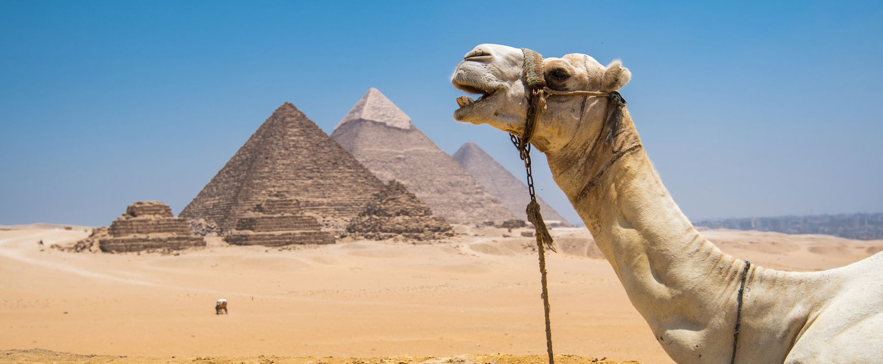 Ők építették az egyiptomi piramisokat, ez felkavaró fordulat, már a tudomány sem ellenkezik, hogy közölje a hírt