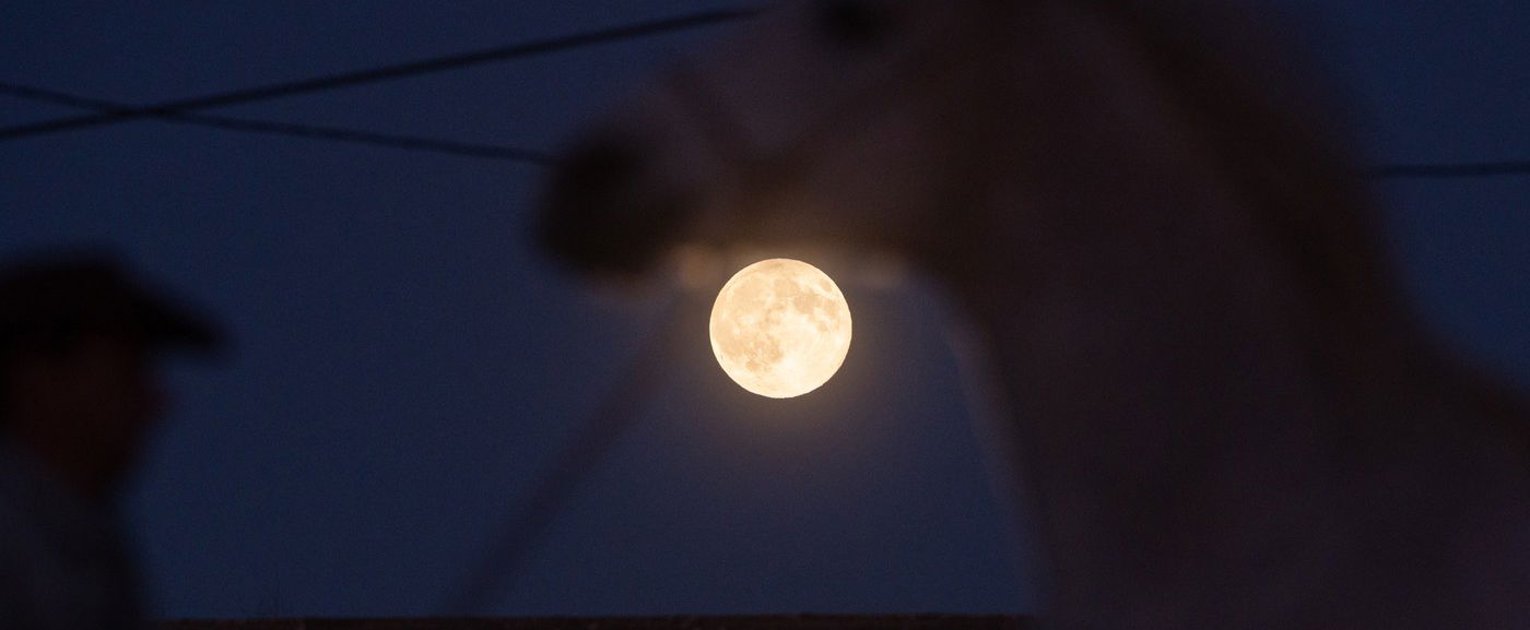Rémisztő, hogy mit tettek a honfoglaló magyar harcos lovával, még a régészek is irtózva emelték ki a leletet