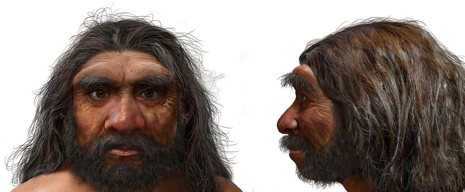 Megfejtették a Sárkányember titkát, ez mindent megváltoztat, amit eddig tudtunk az ősemberekről