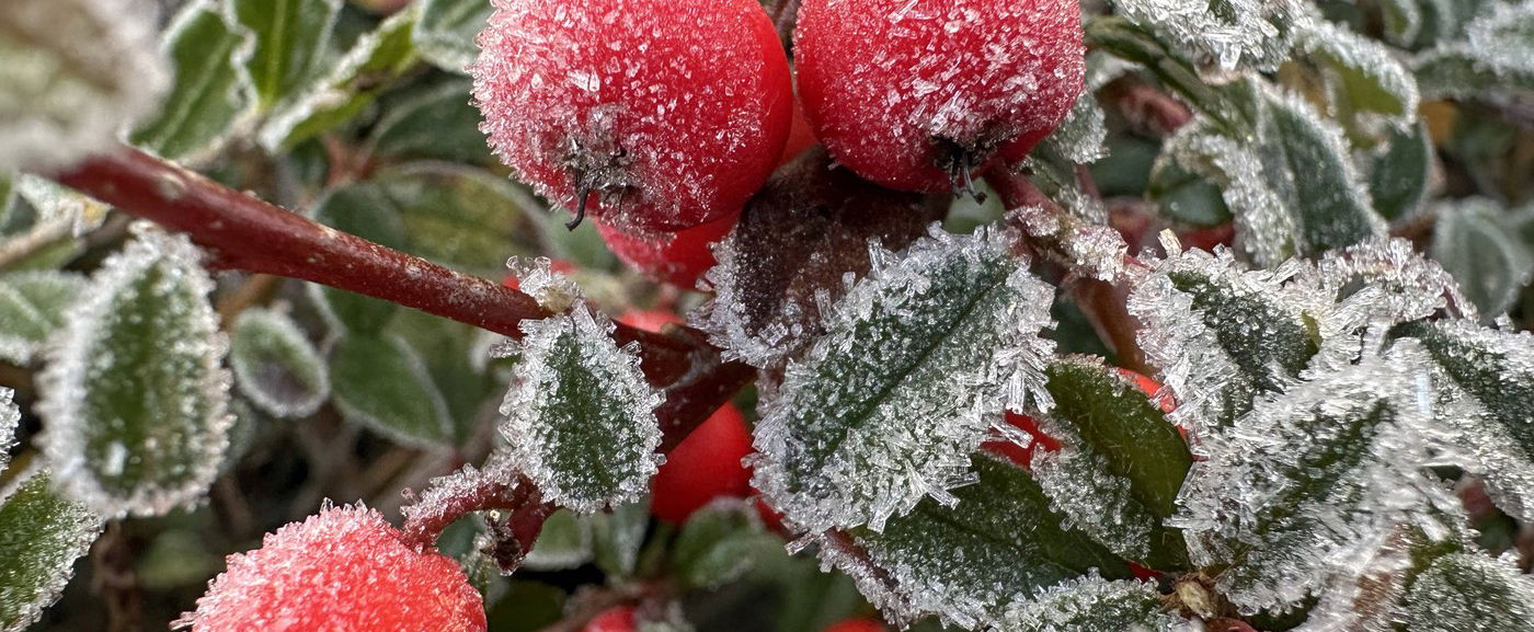 Hamarosan berobban a tél, a hidegpárna lecsap az országra, vége a szokatlan melegnek? Időjárás-előrejelzés 