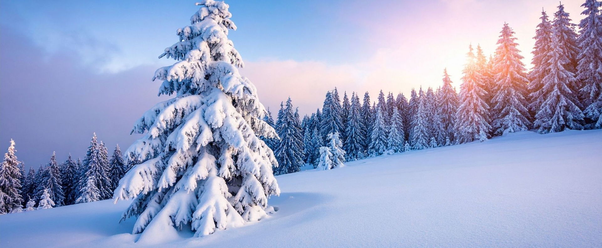 Iszonyatos hír jött a téli időjárásról, kutatók döbbenetes dolgot mondtak ki