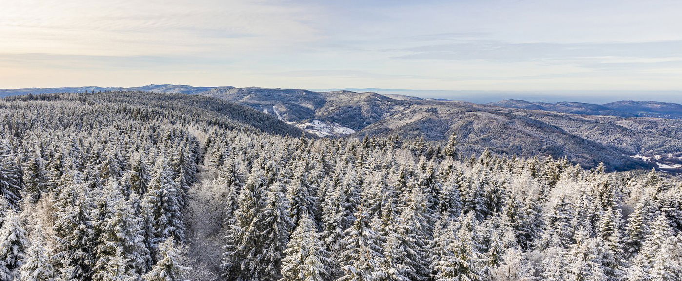 Ekkor zúdul be a hideg Magyarországra, drasztikus változás áll be a télre ettől az időponttól a friss előrejelzések szerint?