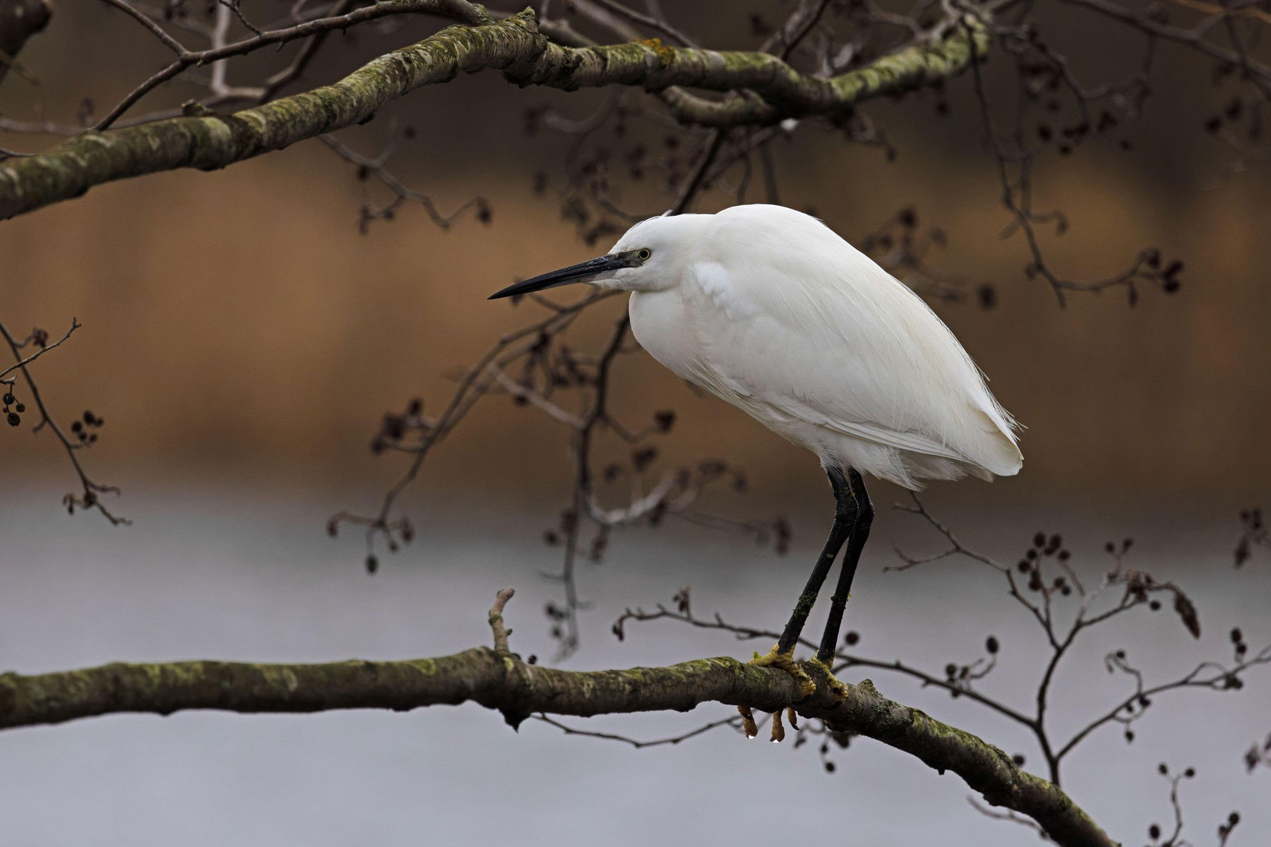 Rég volt ilyen időben részünk, rendkívüli, ami közeleg Magyarország felé - időjárás előrejelzés