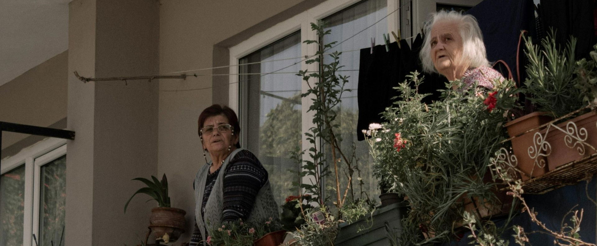 Ennél pofátlanabb szomszéd nem létezik, undorító videó kavarta fel az internetet